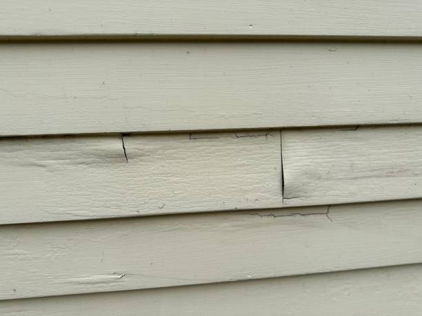 Best Custom Trim and Detailing for Siding  in Wickenburg, AZ